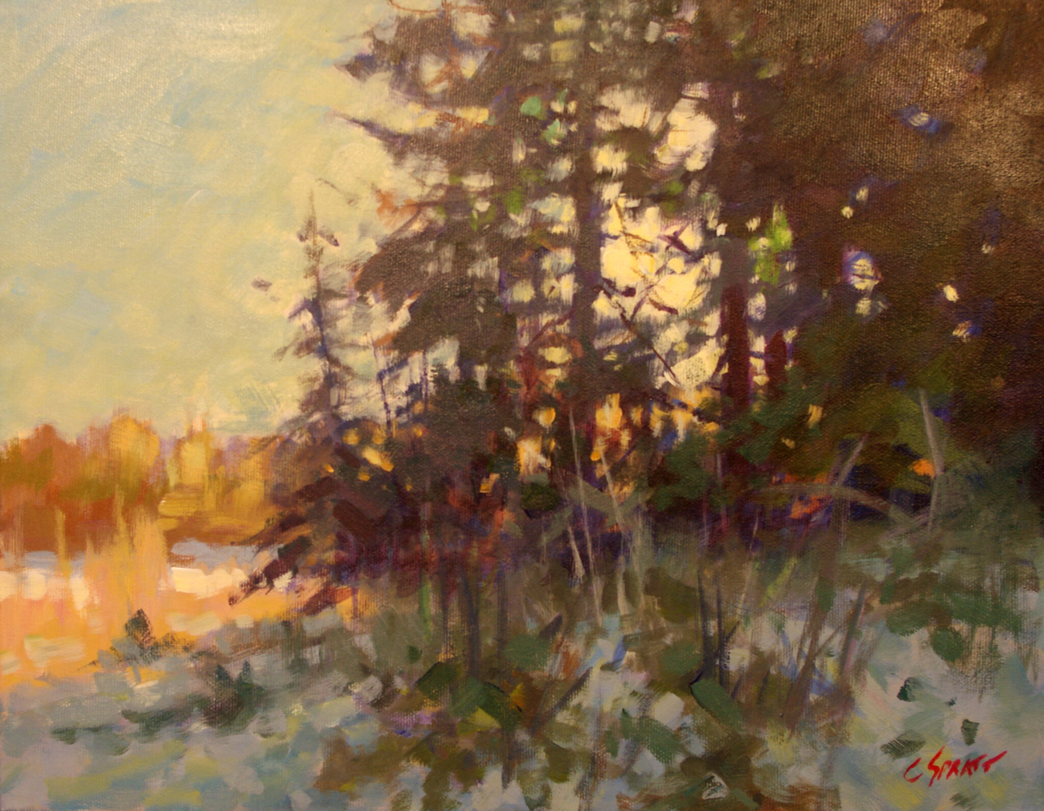 Late Afternoon