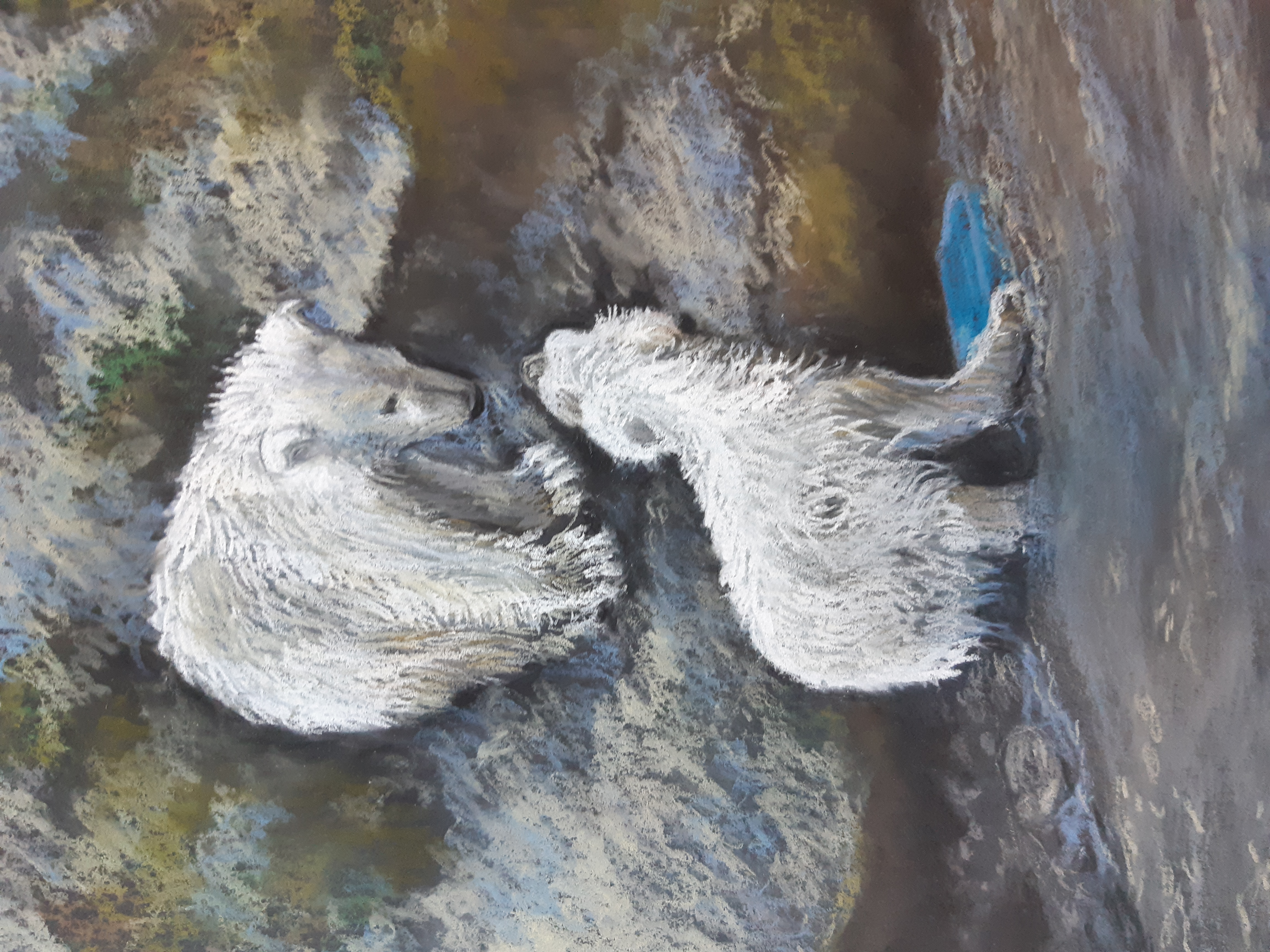 Bears Playing